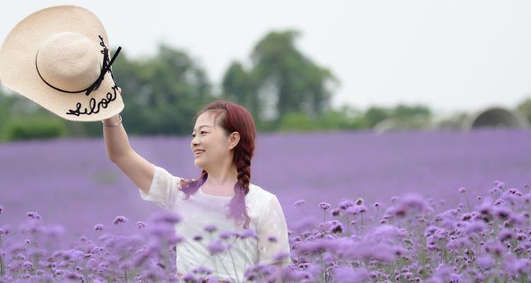 不同颜色薰衣草的花语（探究不同颜色薰衣草的内涵与意义）