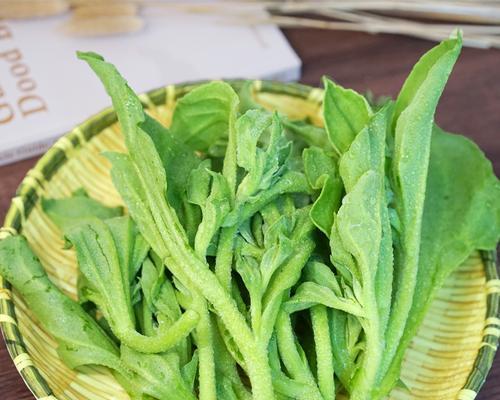 韭菜花的营养与食用方式详解