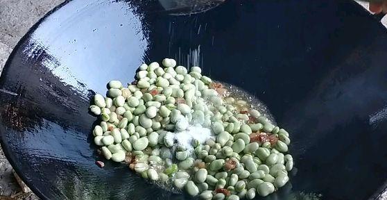 蚕豆皮可以变废为宝，成为优质有机肥料（以蚕豆皮代替化肥，保护环境，助力农业可持续发展）