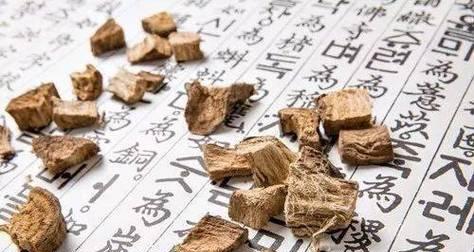 苍耳草的功效与作用（了解苍耳草的禁忌副作用及正确使用方法）