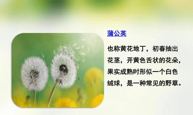 苍耳的种子传播方式（探究苍耳的繁殖之路）