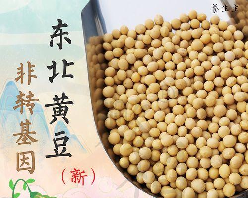 豆浆渣可作为有机肥料的实用性研究（利用豆浆渣制作有机肥料，解决废弃物资源化问题）