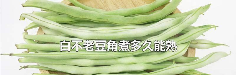 一起来了解豆角的形状（探究豆角的外形特征和食用方式）