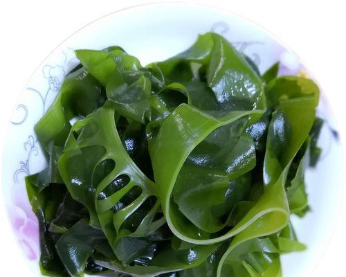 海芽菜和裙带菜，你真的了解吗？