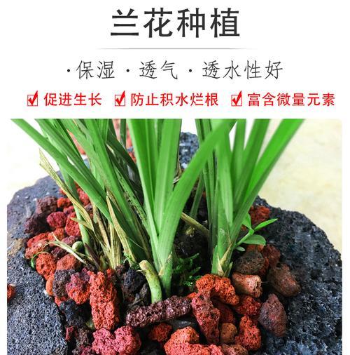 火山石花盆的植物种植指南（选择适合火山石花盆的植物，打造独特的家居绿化）