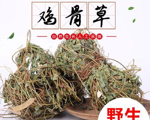 探讨鸡骨藤与鸡骨草的差异（鸡骨藤与鸡骨草的特征、功效以及应用领域）