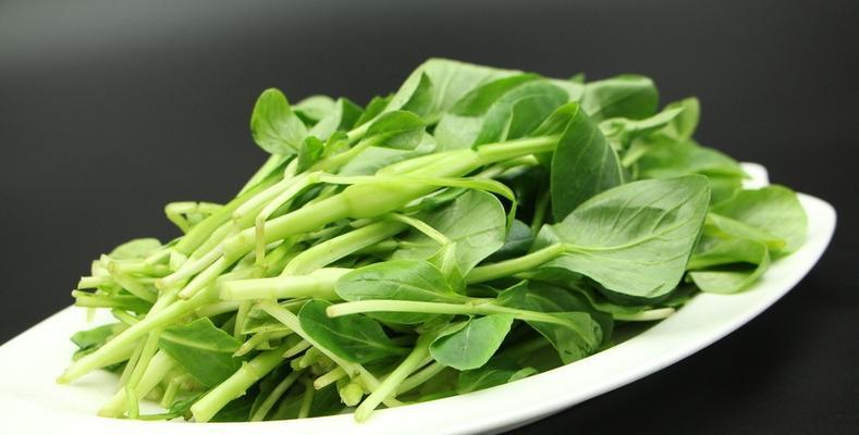 鸡毛菜不是小白菜（认清鸡毛菜，别错当小白菜）