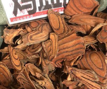 探秘鸡血藤的故乡（寻访神奇草药的原生地）