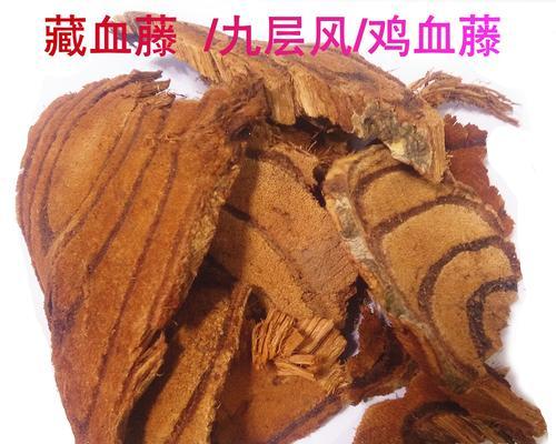 鸡血藤（保护野生植物，共建绿色家园）