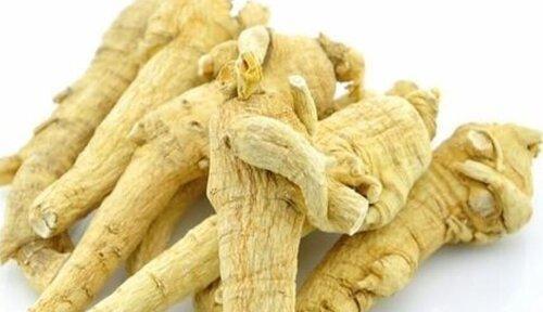 辣木籽是上火还是降火？（探究辣木籽的药用价值）
