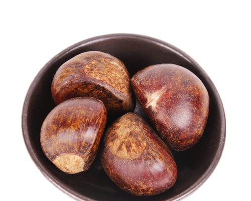 栗子的产地及特点——探秘栗子的故乡