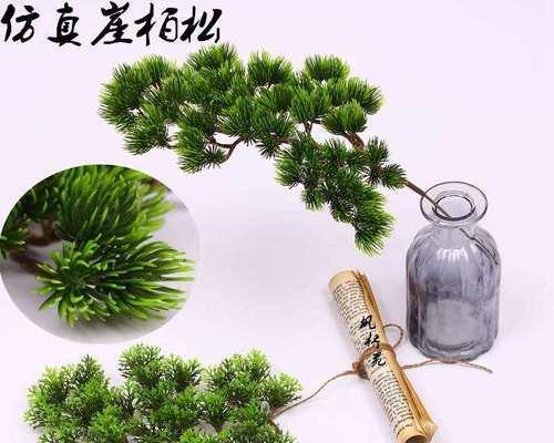 松柏叶子的神奇功效与作用（探究松柏叶子的药用价值，让我们感受大自然的恩赐）