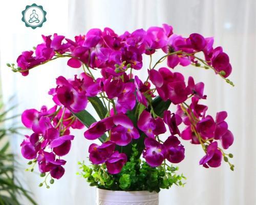 揭秘塑料花（塑料花的真面目）