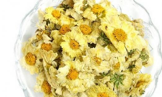 胎菊的产地选择（寻找最佳产地的方法与技巧）