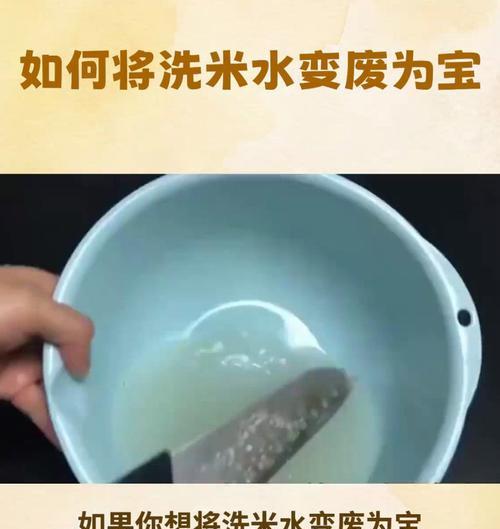 狗尿可以做肥料吗？这是科学家们的答案！（探寻狗尿肥料的秘密，为环保做出贡献！）