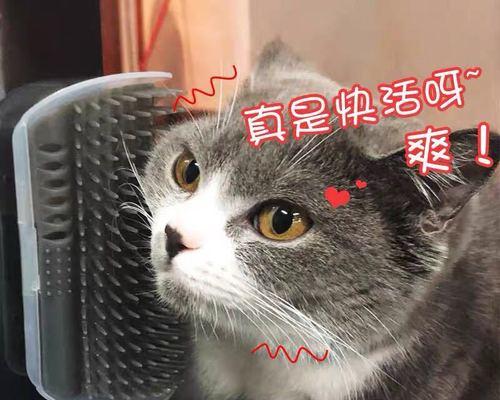 猫薄荷（探究猫薄荷对猫咪的益处和作用）