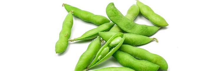 大豆（大豆的分类及其特征与作用）