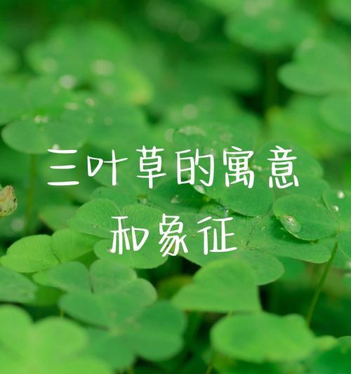 树叶代表的象征意义（探索树叶的深层含义）