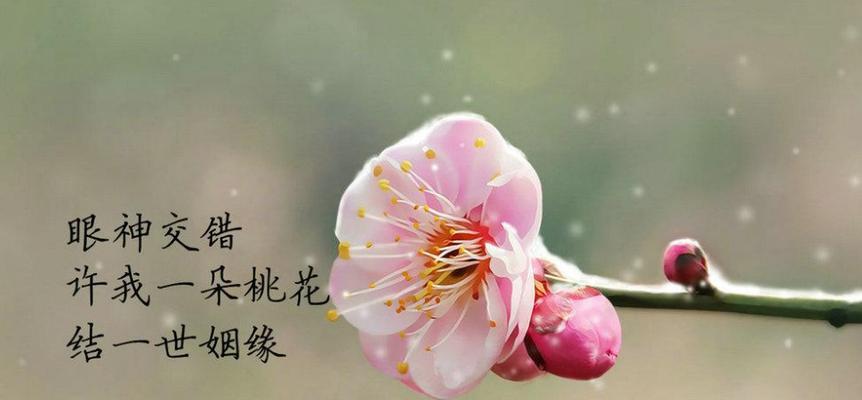 十二生肖中，哪个代表着桃花？（揭秘生肖与桃花的奥秘，惊喜在其中）