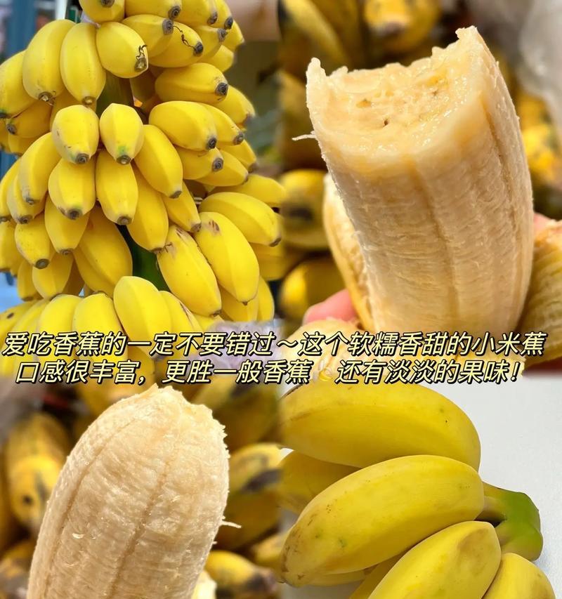 粉蕉有籽吗？籽是否可食（探究粉蕉中的籽是否能食用以及食用方法）