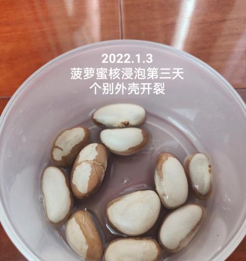菠萝蜜核的种植方法与技巧（探讨菠萝蜜核的种植步骤及栽培要点）