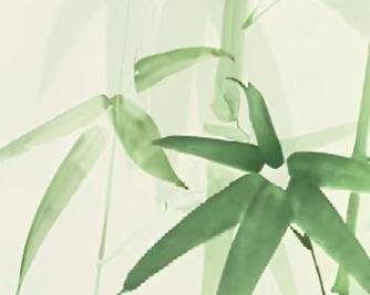 如何正确修剪花草树木的节节高（掌握正确的修剪方法，打造美丽的庭院）