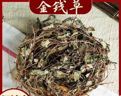金丝草，一种有益健康的植物（探索金丝草的多种功效与作用，了解它对我们的健康有哪些积极作用）
