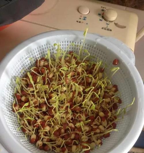 如何快速发芽红豆种子？（种植技巧与注意事项）