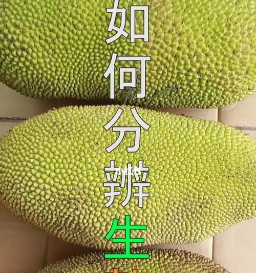 种菠萝蜜核的秘密（菠萝蜜核种植的步骤和技巧）