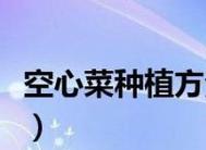 空心菜病虫害防治技术与方法（解决空心菜生长中的病虫害难题，促进健康产量）