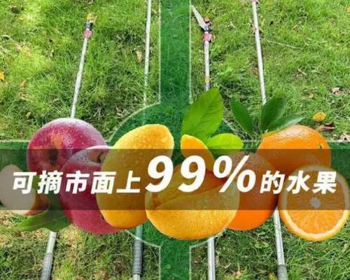 如何正确修剪花树？（掌握技巧，让花树更美丽）