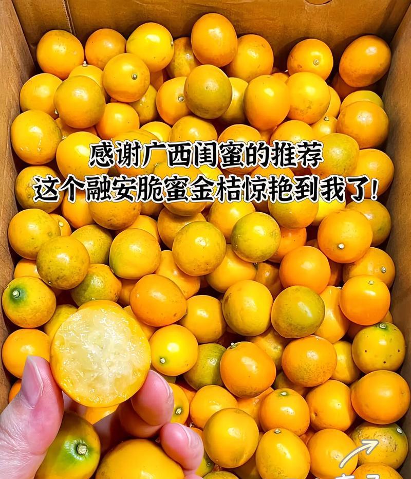 寻找最美味的金桔果，南方哪里的金桔最好吃？（追寻美食之路，挖掘口感芳香的金桔果源头）