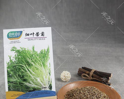 苦菊种子的种植方法（从选种到收获，全方位解析苦菊的种植技巧）