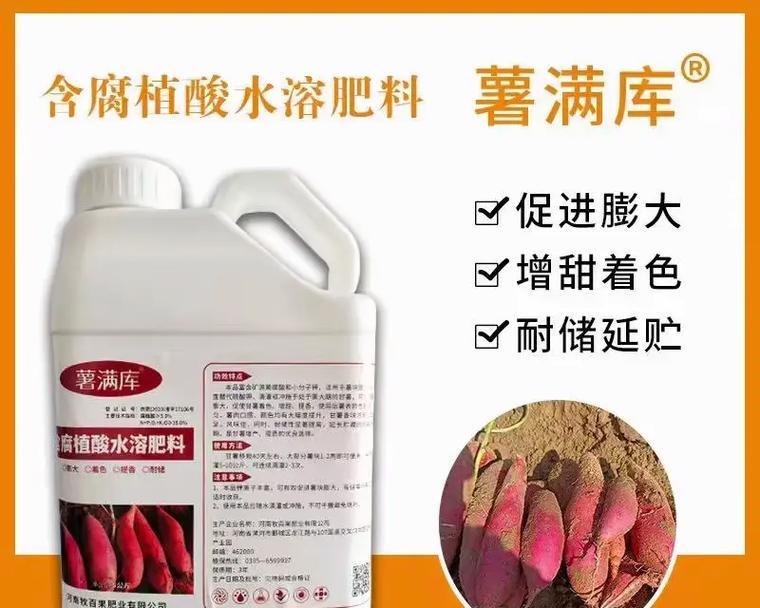 番薯究竟是块根还是块茎？（探究番薯的真面目，解读其植物学分类）