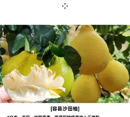 红心柚几年结果实，种植技巧与养护方法详解（掌握关键技巧，丰收才是王道）