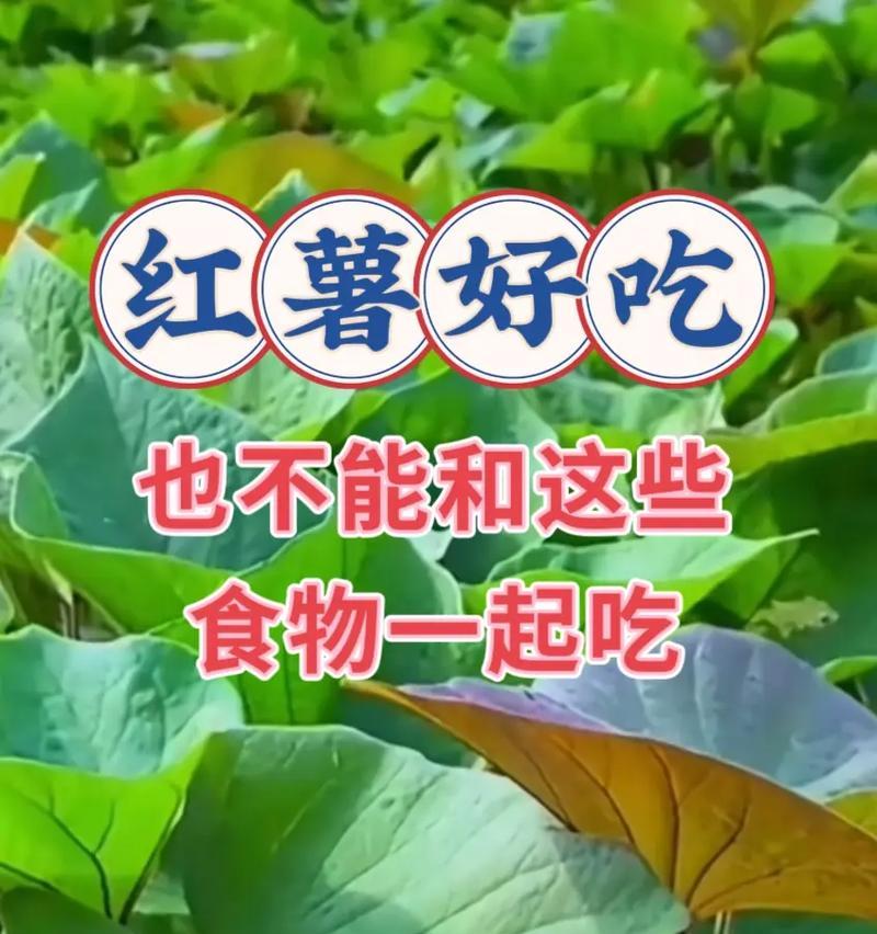 红薯的搭配禁忌（什么不能和红薯一起吃？）