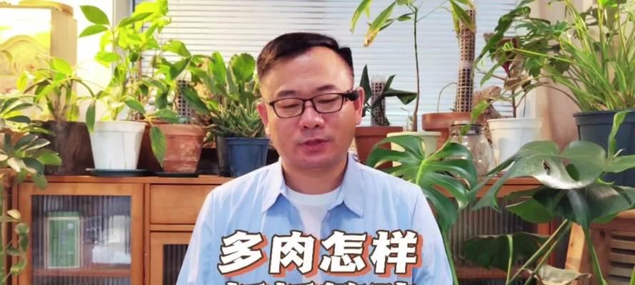 多肉繁殖指南（方法、注意事项、成长技巧）