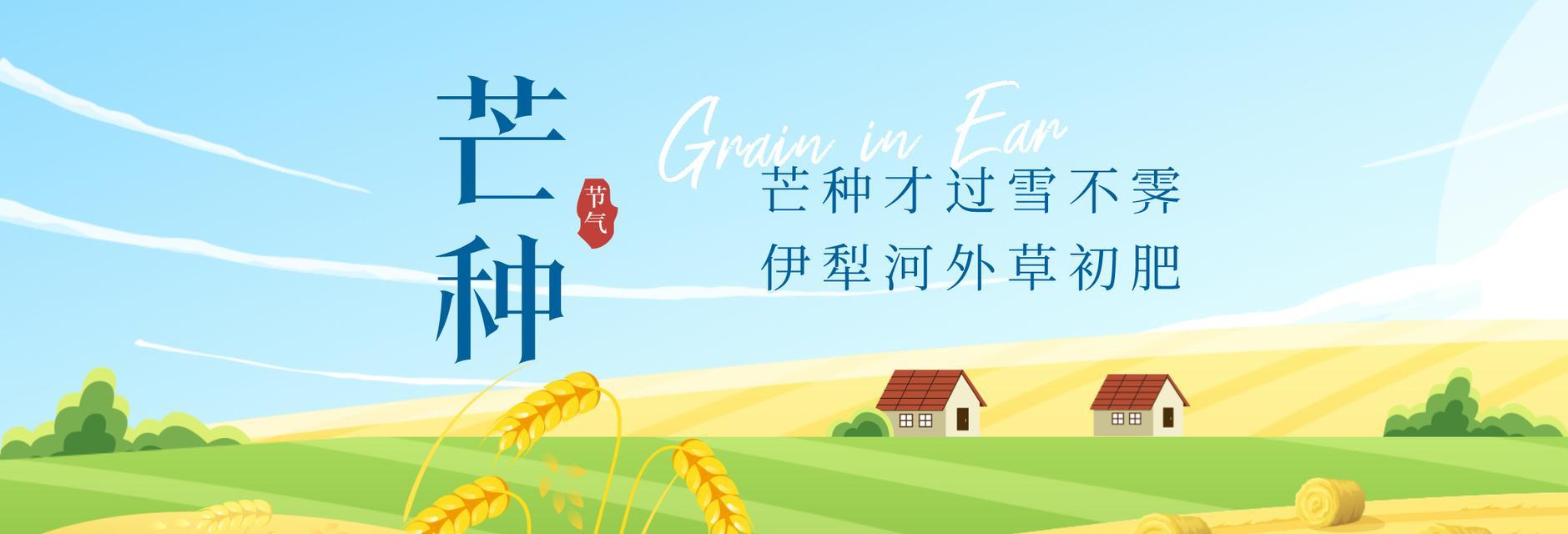 红豆种植详解——时间和方法（如何科学种植红豆？）