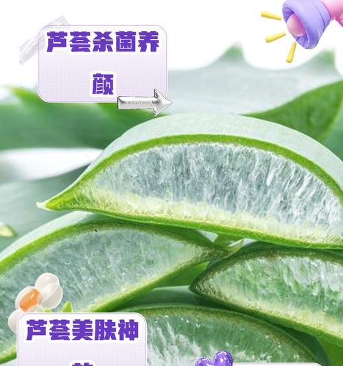 芦荟叶子黑点的原因与处理方法（揭秘芦荟叶子黑点形成的原因及有效防治方法）