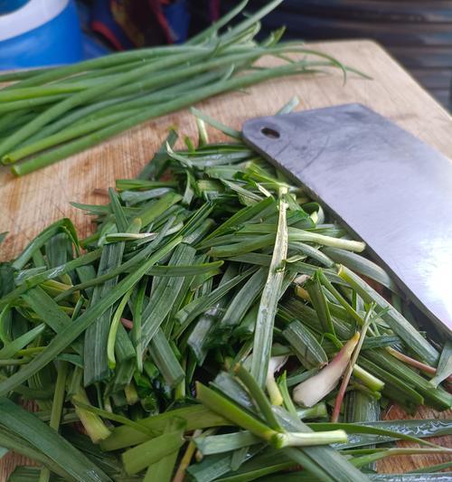 家里种韭菜的好处（种植韭菜的方法和韭菜的营养价值）