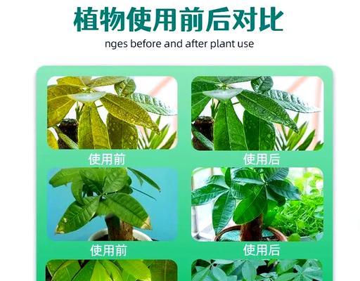 如何正确使用发财树营养液（营养液浇水的间隔及使用技巧）
