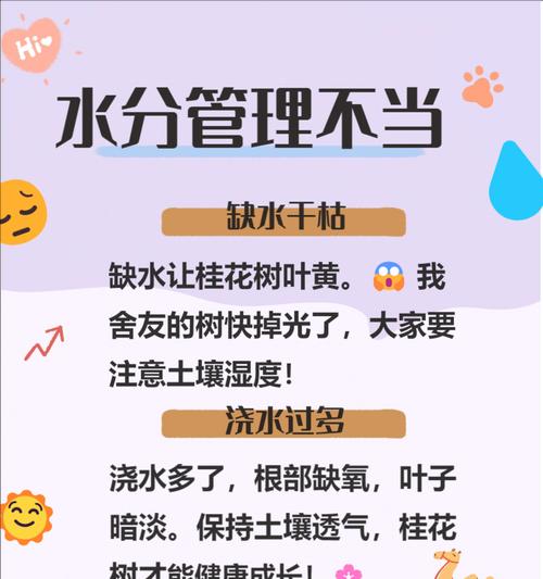 恢复桂花树健康的方法及注意事项（恢复桂花树健康的方法及注意事项）