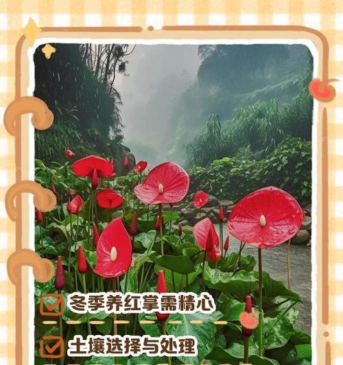 以红掌为主题的养殖技巧（打造理想红掌环境的关键要素及养护要点）