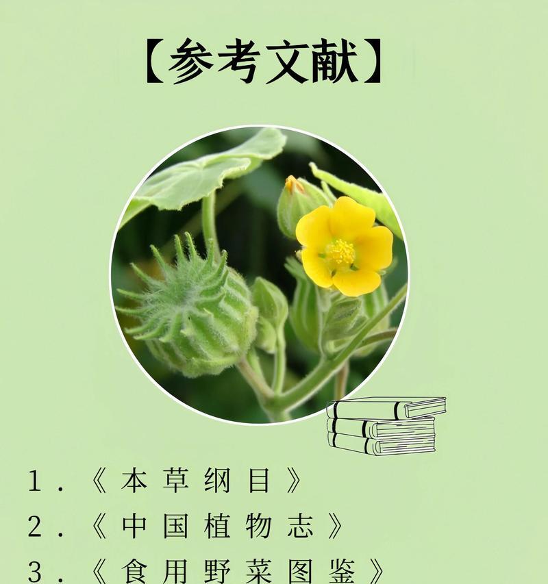 活麻草——神奇的草本植物（探秘活麻草的功效、作用与食用方法）