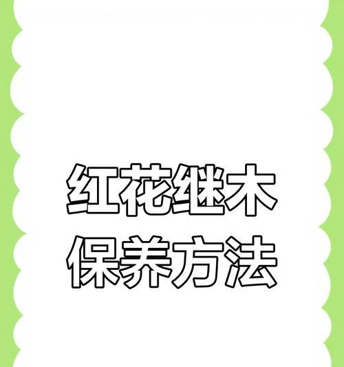 红花继木的繁殖技巧（掌握这些技巧，让你的红花继木繁衍生息）