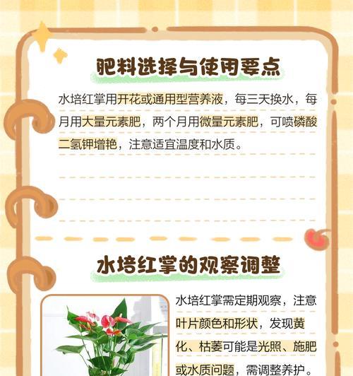 如何解决红掌烂根的问题？（有效方法和关键步骤助您挽救红掌！）