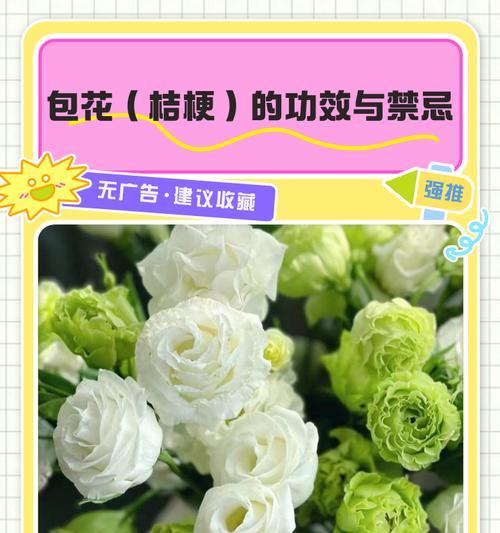 桔梗花的用途与使用方法详解（探秘桔梗花的神奇功效和正确使用方法）