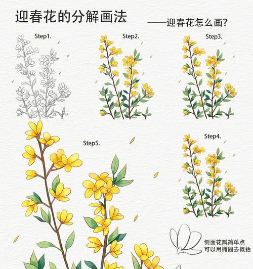 以迎春花叶子为主题的奇妙世界（探索迎春花叶子的生命之美）