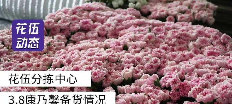 以花伍平台为主题的全面评测（探索以花伍平台的特点、优势和用户体验）