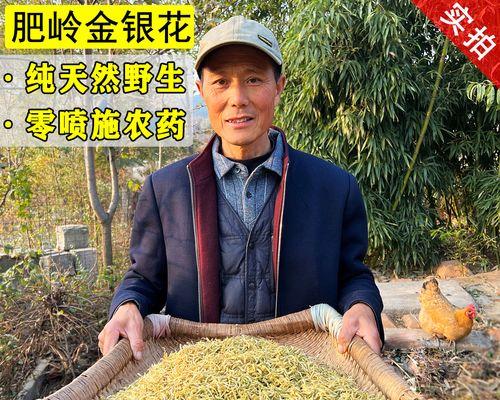 金银花肥料使用指南（科学施肥助力金银花健康生长）